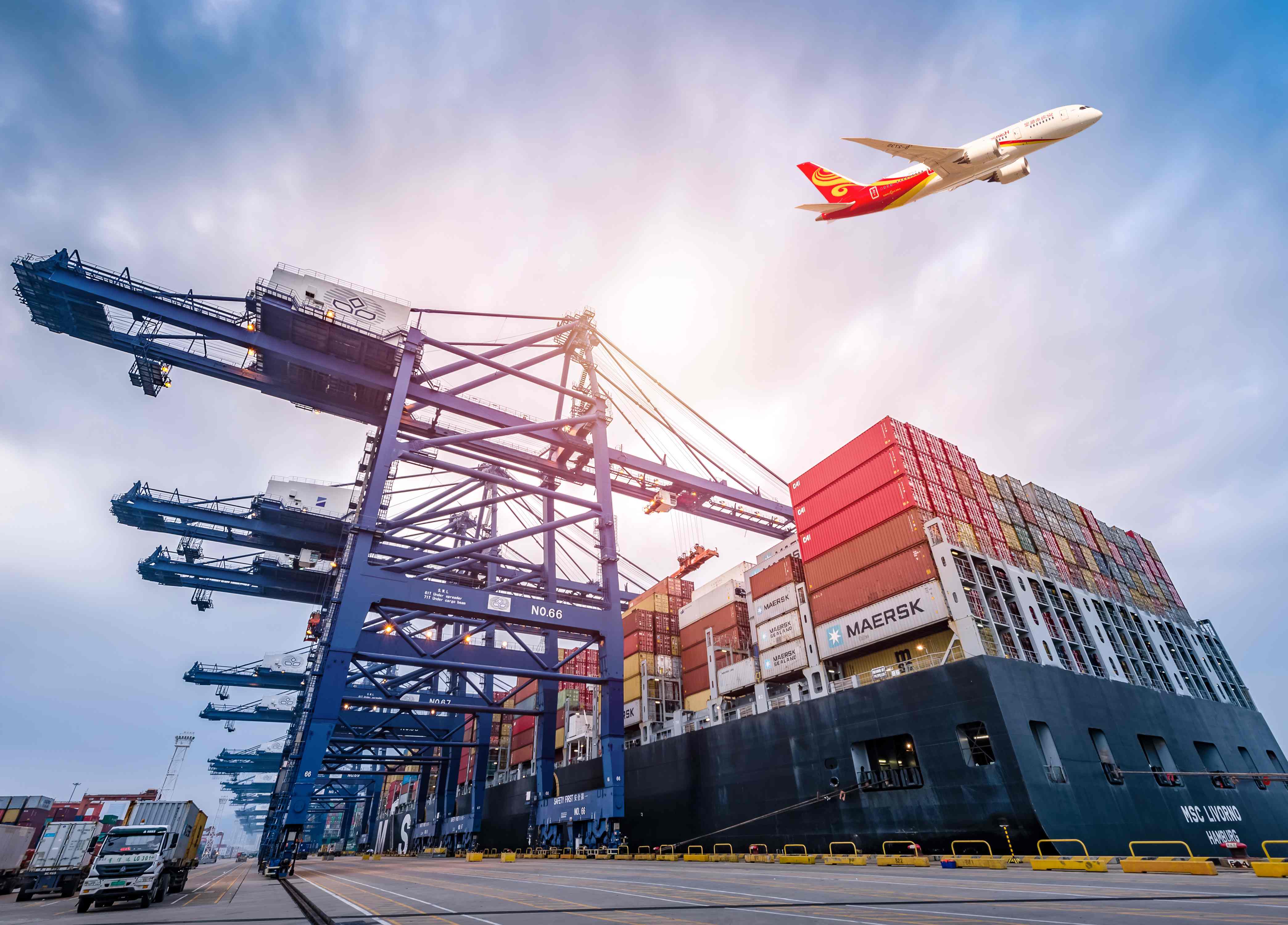 欧美海运服务 - 集装箱船舶与港口起重机